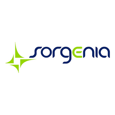 Sorgenia 2017 NEW