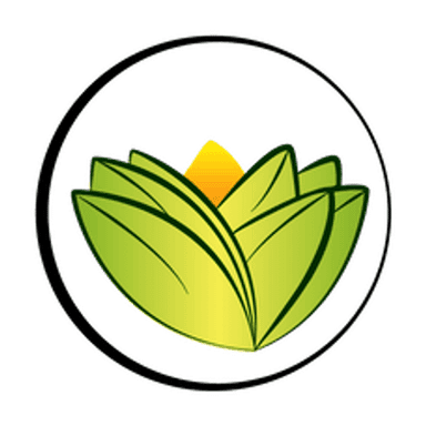 The Ayurveda Experience